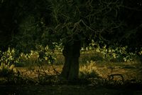 paisaje web portafolio-16