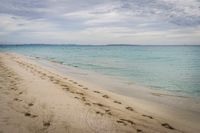 paisaje web portafolio-20