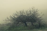 paisaje web portafolio-24