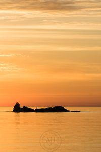 paisaje web portafolio-27