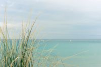 paisaje web portafolio-28