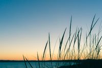 paisaje web portafolio-9